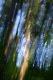 Abstracts