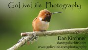 GoLiveLife Photography - Dan Kirchner